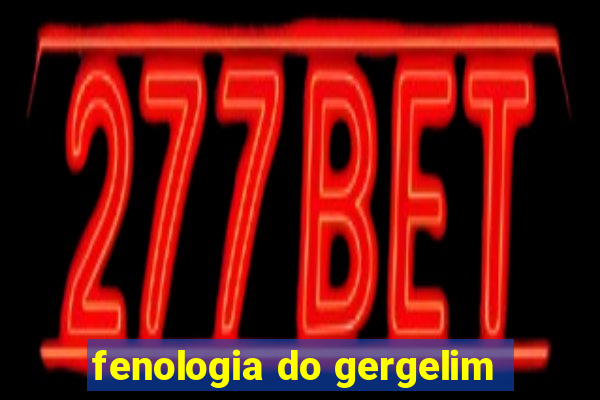 fenologia do gergelim